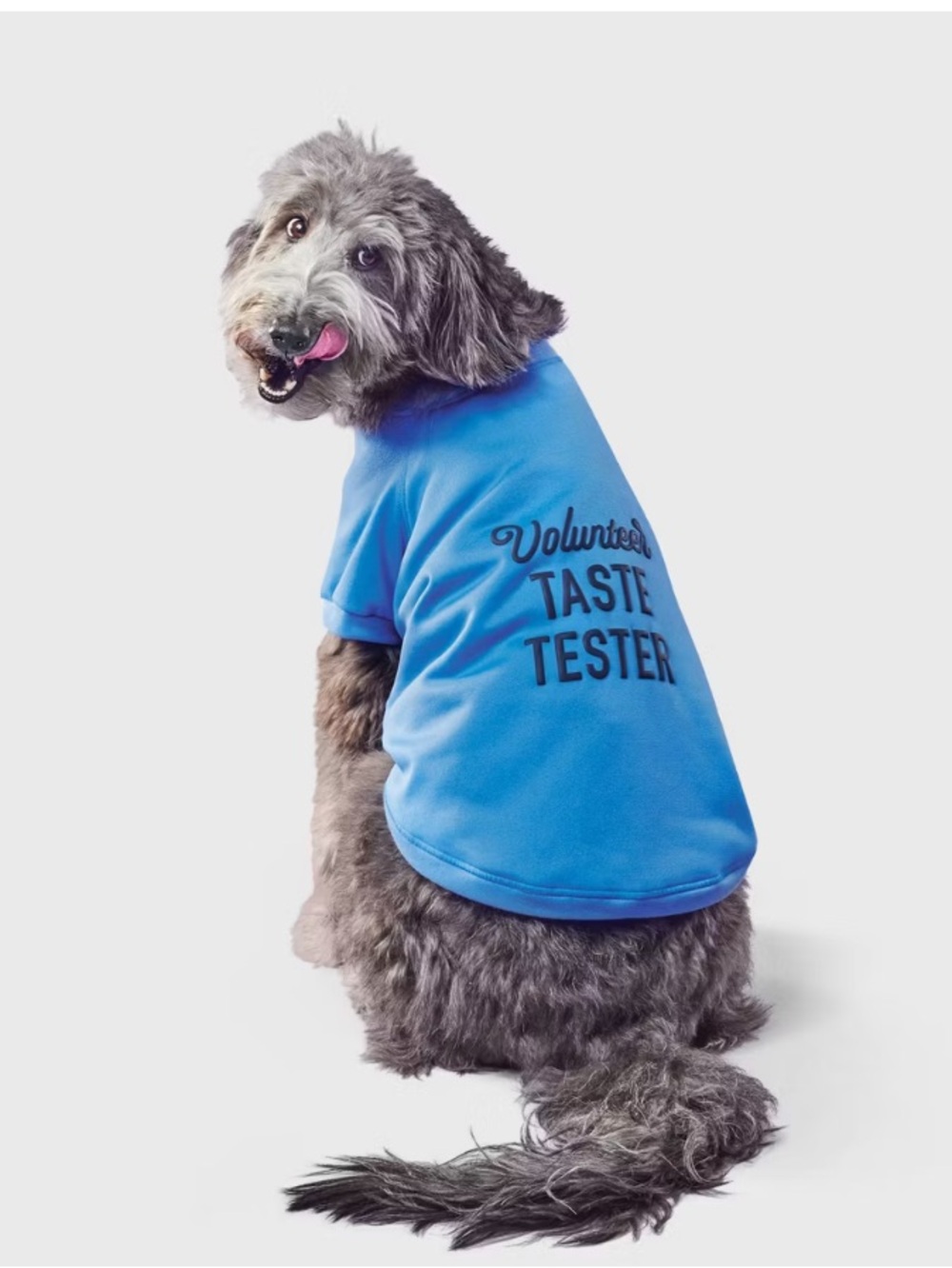 NWT Volunteer Taste Tester Dog Pullover - Boots & Barkley™ SZ M